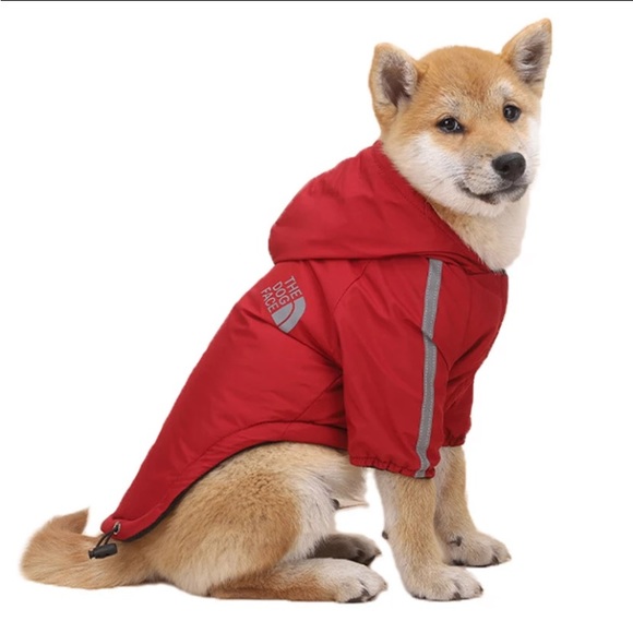 “The Dog Face” North Face style rain jacket for dogs 🐶 - Picture 9 of 10